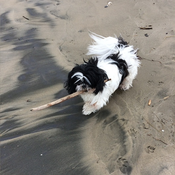 Leah Bobea - Picture 6 of 7